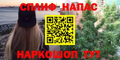 jwh Камышлов